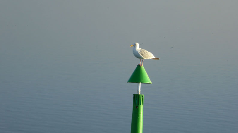 tågen-letter-haderslev-fjord.jpg